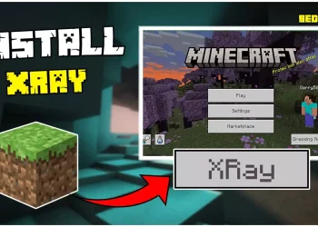 xray-for-minecraft-bedrock-edition